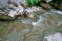 Bild71