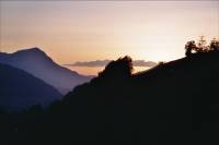 Bild99